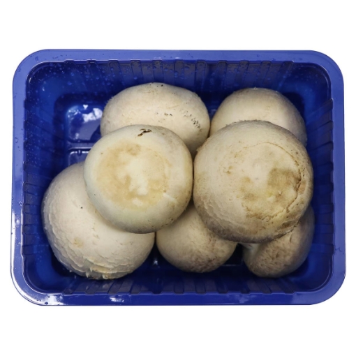 صورة فطر عيش غراب عملاق هولندا 1 باكيت