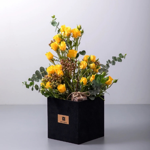 صورة بوكس مخمل مميز