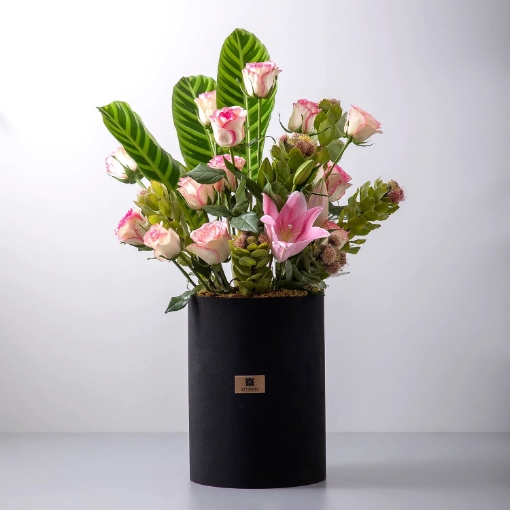 صورة بوكس مخمل فاخر