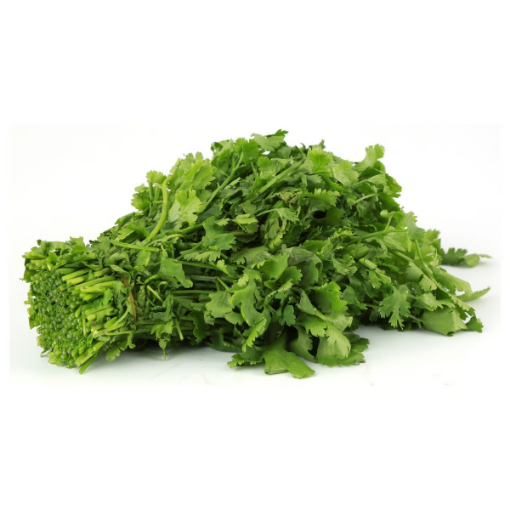 صورة أوراق كزبرة عبوة واحدة